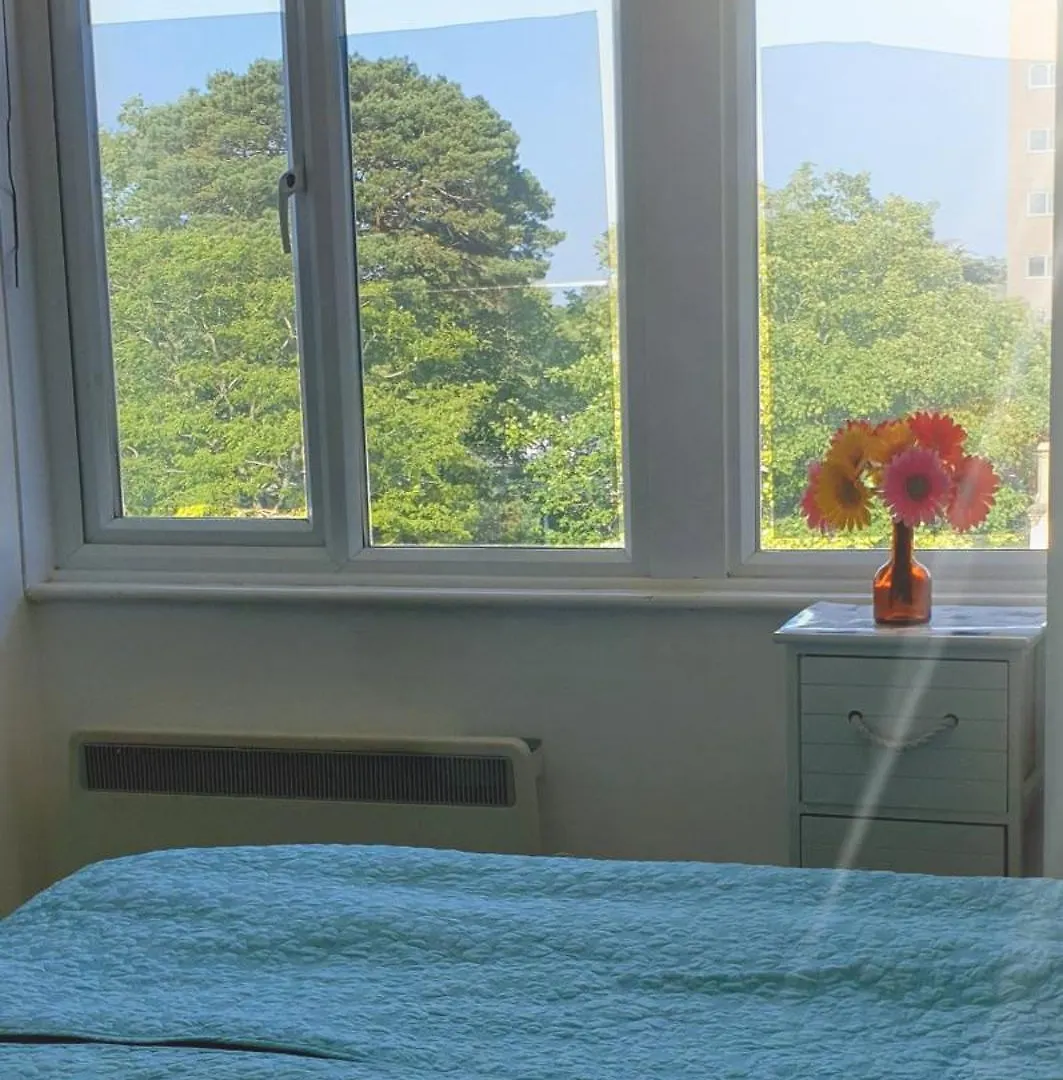 Close To Beach And Town Square Bournemouth Apartment